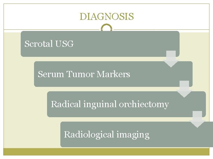 DIAGNOSIS Scrotal USG Serum Tumor Markers Radical inguinal orchiectomy Radiological imaging 