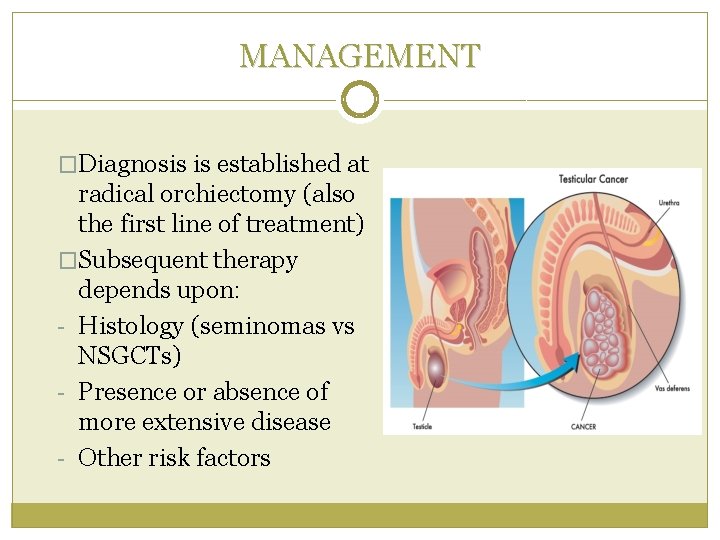 MANAGEMENT �Diagnosis is established at radical orchiectomy (also the first line of treatment) �Subsequent