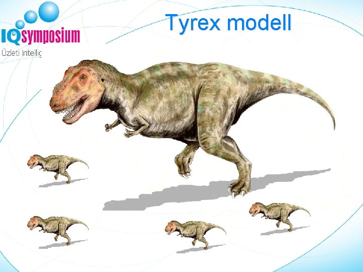 Tyrex modell Kockázatkezelés Szolgáltató (Bank/Telekom) 