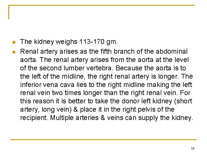 n n The kidney weighs 113 -170 gm. Renal artery arises as the fifth n n The kidney weighs 113 -170 gm. Renal artery arises as the fifth