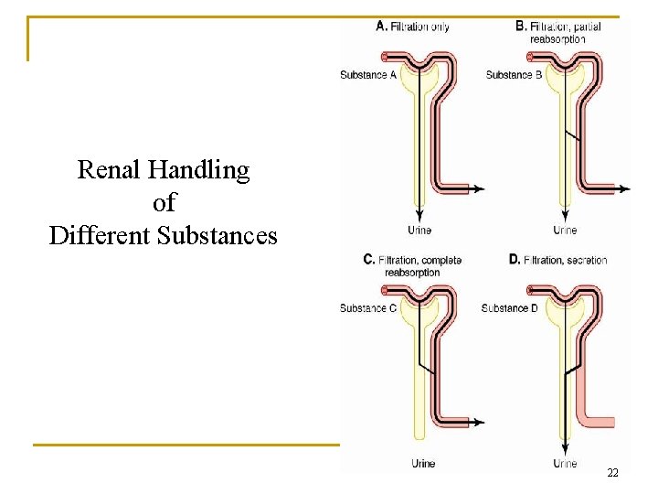 Renal Handling of Different Substances 22 Renal Handling of Different Substances 22
