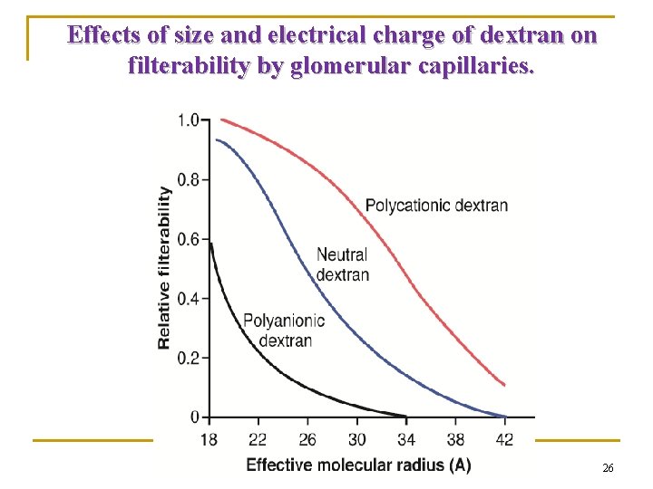 Effects of size and electrical charge of dextran on filterability by glomerular capillaries. 26 Effects of size and electrical charge of dextran on filterability by glomerular capillaries. 26