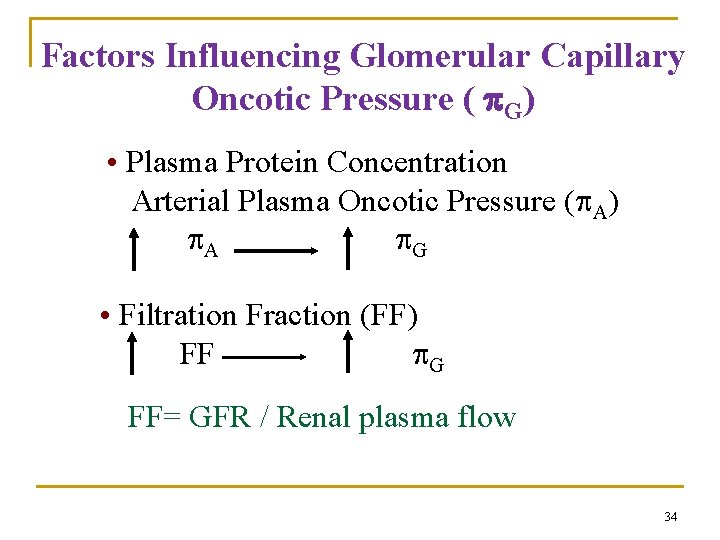 Factors Influencing Glomerular Capillary Oncotic Pressure ( G) • Plasma Protein Concentration Arterial Plasma Factors Influencing Glomerular Capillary Oncotic Pressure ( G) • Plasma Protein Concentration Arterial Plasma