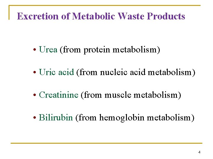 Excretion of Metabolic Waste Products • Urea (from protein metabolism) • Uric acid (from Excretion of Metabolic Waste Products • Urea (from protein metabolism) • Uric acid (from