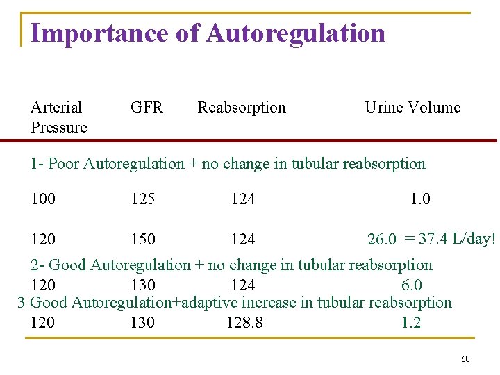 Importance of Autoregulation Arterial Pressure GFR Reabsorption Urine Volume 1 - Poor Autoregulation + Importance of Autoregulation Arterial Pressure GFR Reabsorption Urine Volume 1 - Poor Autoregulation +