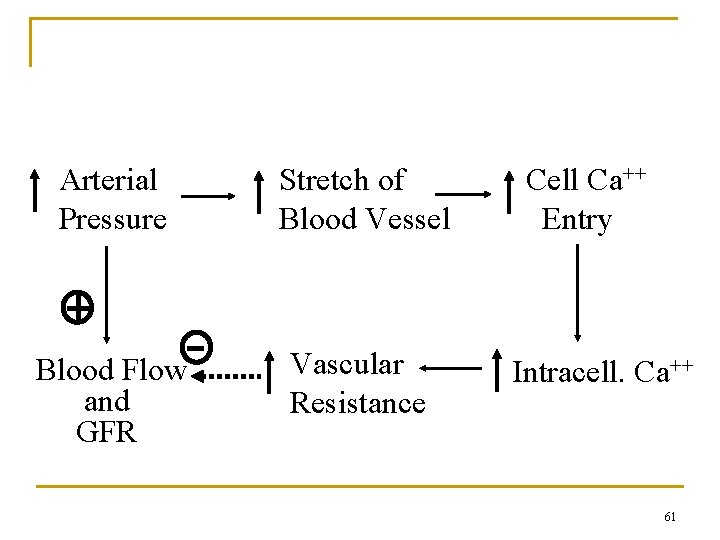 Myogenic Mechanism Arterial Pressure Stretch of Blood Vessel Blood Flow and GFR Vascular Resistance Myogenic Mechanism Arterial Pressure Stretch of Blood Vessel Blood Flow and GFR Vascular Resistance