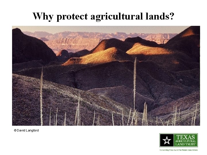 Why protect agricultural lands? © David Langford Why protect agricultural lands? © David Langford