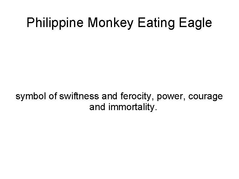 Philippine Monkey Eating Eagle symbol of swiftness and ferocity, power, courage and immortality. 