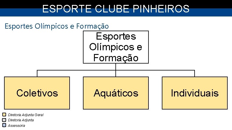 ESPORTE CLUBE PINHEIROS Esportes Olímpicos e Formação Coletivos Diretoria Adjunta Geral Diretoria Adjunta Assessoria