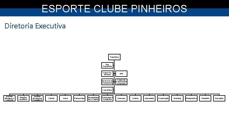 ESPORTE CLUBE PINHEIROS Diretoria Executiva Presidência Vice Presidência Centro PróMemória DAS Assessoria de Planejamento