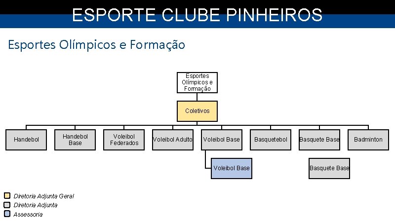 ESPORTE CLUBE PINHEIROS Esportes Olímpicos e Formação Coletivos Handebol Base Voleibol Federados Voleibol Adulto