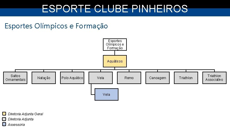ESPORTE CLUBE PINHEIROS Esportes Olímpicos e Formação Aquáticos Saltos Ornamentais Natação Polo Aquático Vela