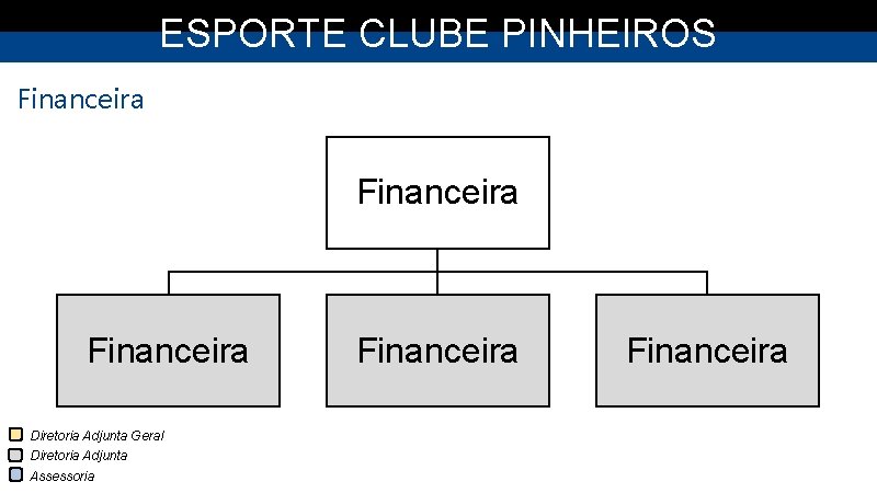 ESPORTE CLUBE PINHEIROS Financeira Diretoria Adjunta Geral Diretoria Adjunta Assessoria Financeira 