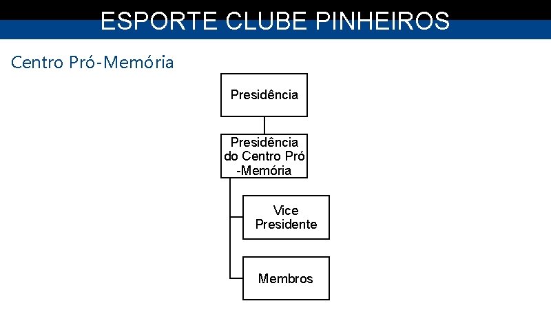ESPORTE CLUBE PINHEIROS Centro Pró-Memória Presidência do Centro Pró -Memória Vice Presidente Membros 
