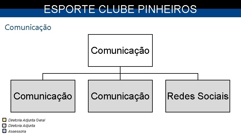 ESPORTE CLUBE PINHEIROS Comunicação Diretoria Adjunta Geral Diretoria Adjunta Assessoria Comunicação Redes Sociais 
