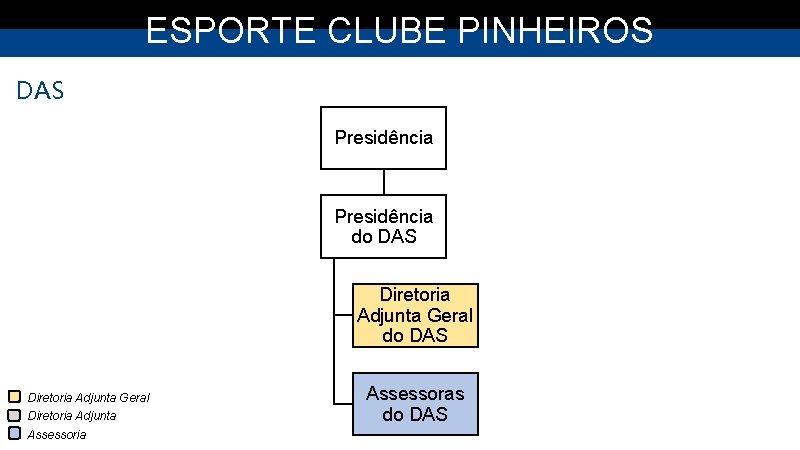 ESPORTE CLUBE PINHEIROS DAS Presidência do DAS Diretoria Adjunta Geral Diretoria Adjunta Assessoria Assessoras