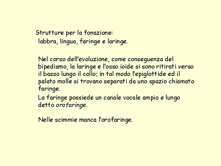 Strutture per la fonazione: labbra, lingua, faringe e laringe. Nel corso dell’evoluzione, come conseguenza Strutture per la fonazione: labbra, lingua, faringe e laringe. Nel corso dell’evoluzione, come conseguenza