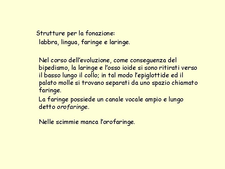 Strutture per la fonazione: labbra, lingua, faringe e laringe. Nel corso dell’evoluzione, come conseguenza