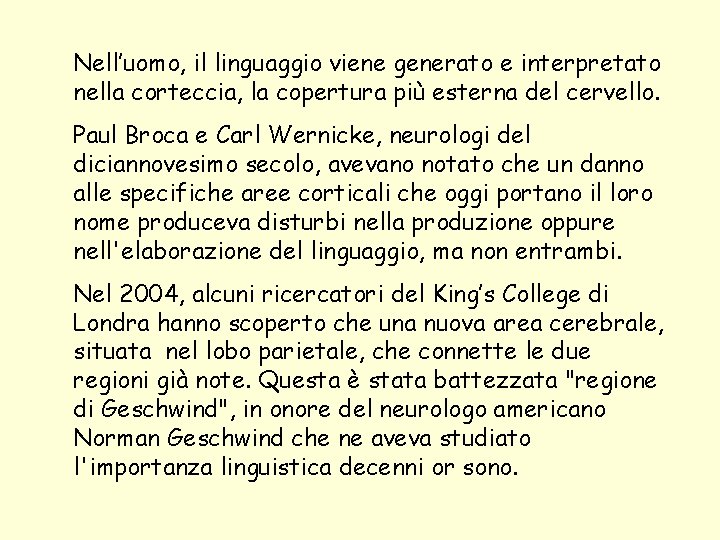 Nell’uomo, il linguaggio viene generato e interpretato nella corteccia, la copertura più esterna del Nell’uomo, il linguaggio viene generato e interpretato nella corteccia, la copertura più esterna del