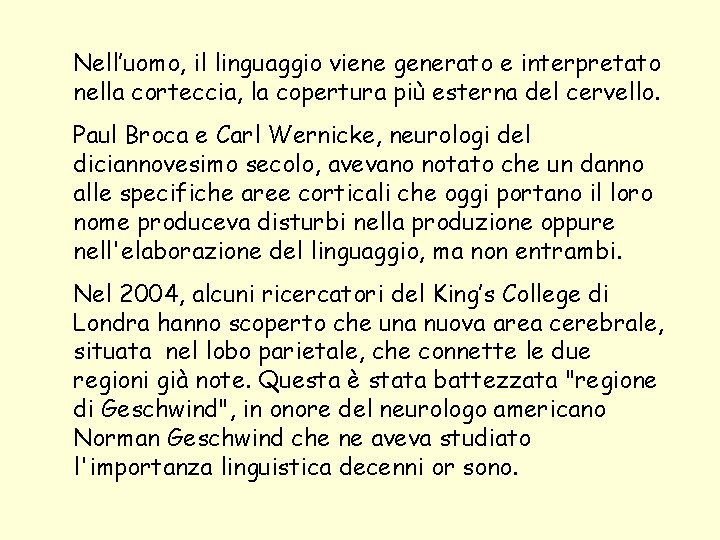 Nell’uomo, il linguaggio viene generato e interpretato nella corteccia, la copertura più esterna del