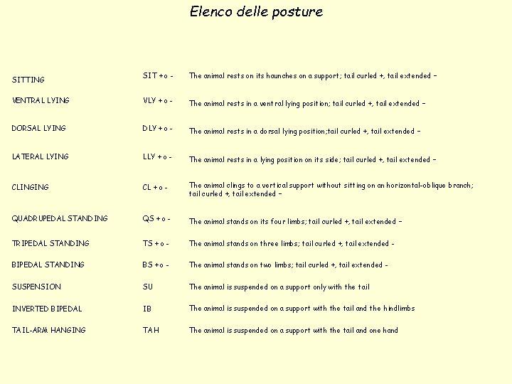 Elenco delle posture SIT + o - The animal rests on its haunches on Elenco delle posture SIT + o - The animal rests on its haunches on