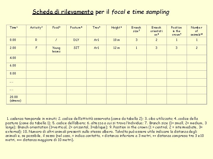 Scheda di rilevamento per il focal e time sampling Time 1 Activity 2 Food Scheda di rilevamento per il focal e time sampling Time 1 Activity 2 Food