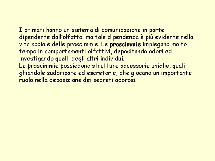 I primati hanno un sistema di comunicazione in parte dipendente dall’olfatto, ma tale dipendenza