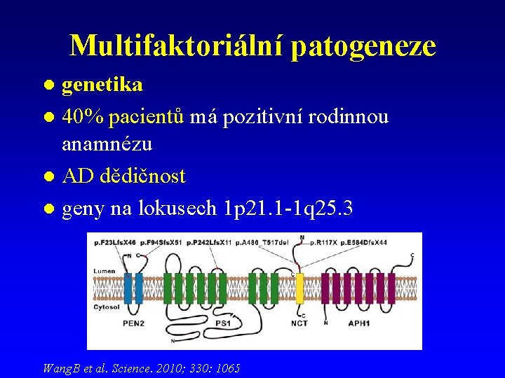 Multifaktoriální patogeneze genetika l 40% pacientů má pozitivní rodinnou anamnézu l AD dědičnost l Multifaktoriální patogeneze genetika l 40% pacientů má pozitivní rodinnou anamnézu l AD dědičnost l