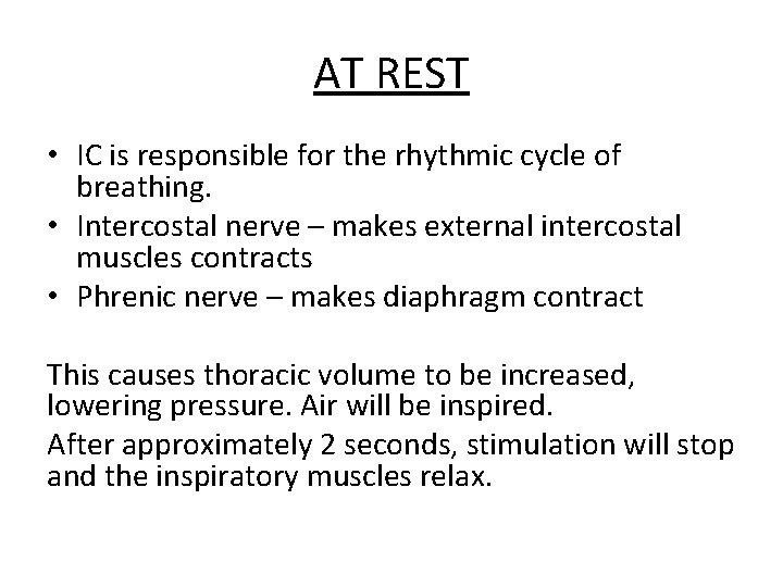 AT REST • IC is responsible for the rhythmic cycle of breathing. • Intercostal AT REST • IC is responsible for the rhythmic cycle of breathing. • Intercostal