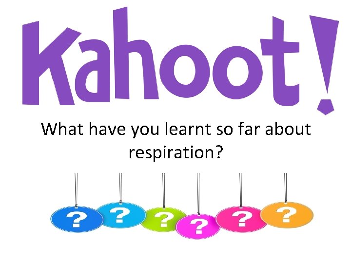 What have you learnt so far about respiration? What have you learnt so far about respiration?