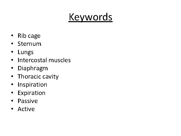 Keywords • • • Rib cage Sternum Lungs Intercostal muscles Diaphragm Thoracic cavity Inspiration Keywords • • • Rib cage Sternum Lungs Intercostal muscles Diaphragm Thoracic cavity Inspiration