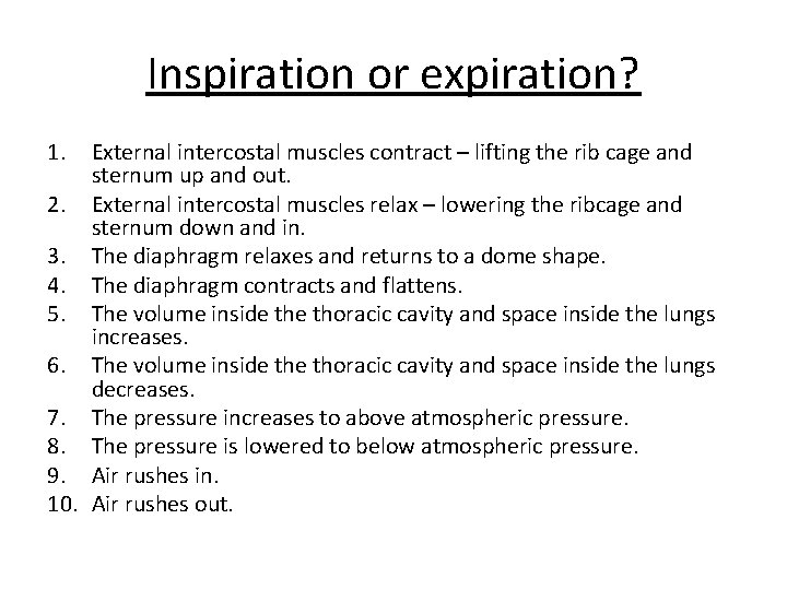 Inspiration or expiration? 1. External intercostal muscles contract – lifting the rib cage and Inspiration or expiration? 1. External intercostal muscles contract – lifting the rib cage and