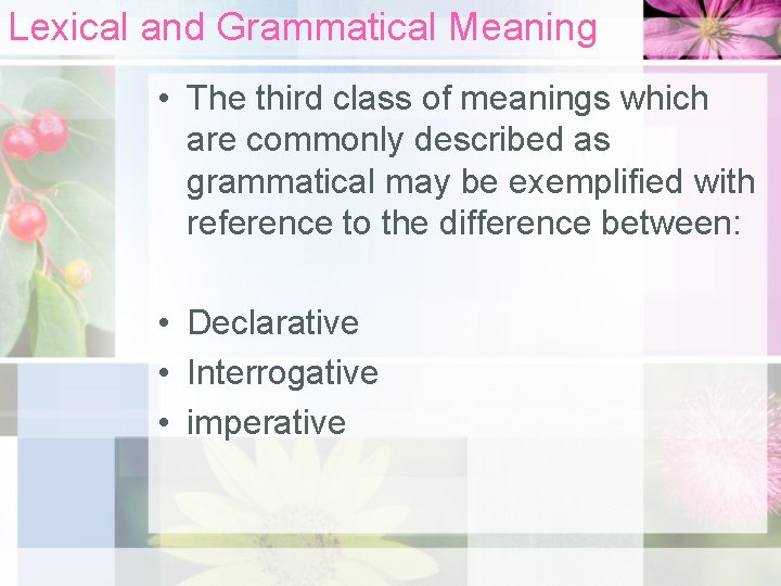 Lexical and Grammatical Meaning • The third class of meanings which are commonly described