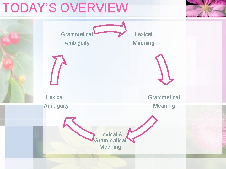 TODAY’S OVERVIEW Grammatical Lexical Ambiguity Meaning Lexical Grammatical Ambiguity Meaning Lexical & Grammatical Meaning