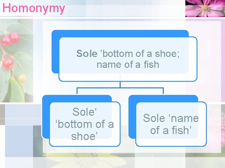 Homonymy Sole ’bottom of a shoe; name of a fish Sole‘ ‘bottom of a