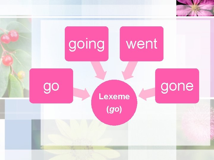 going go went Lexeme (go) gone 