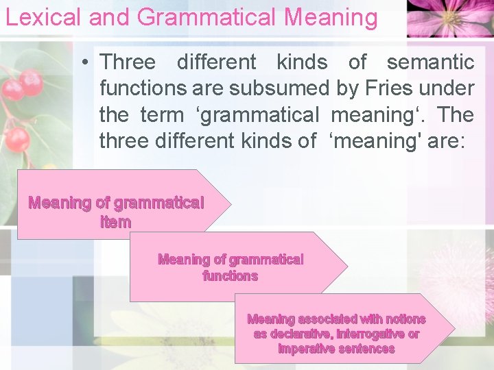 Lexical and Grammatical Meaning • Three different kinds of semantic functions are subsumed by