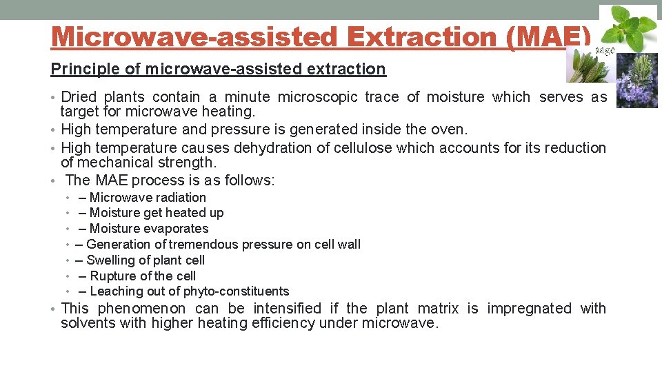 Microwave-assisted Extraction (MAE) Principle of microwave-assisted extraction • Dried plants contain a minute microscopic