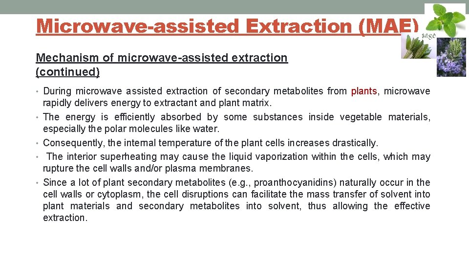 Microwave-assisted Extraction (MAE) Mechanism of microwave-assisted extraction (continued) • During microwave assisted extraction of