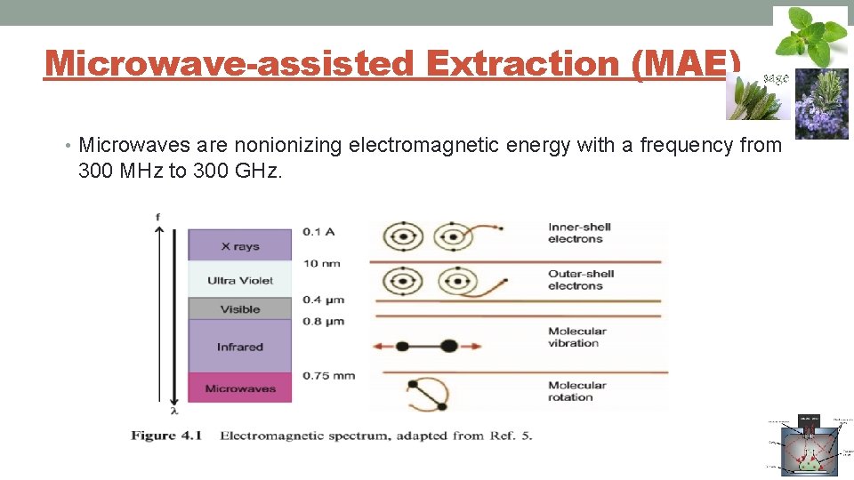 Microwave-assisted Extraction (MAE) • Microwaves are nonionizing electromagnetic energy with a frequency from 300