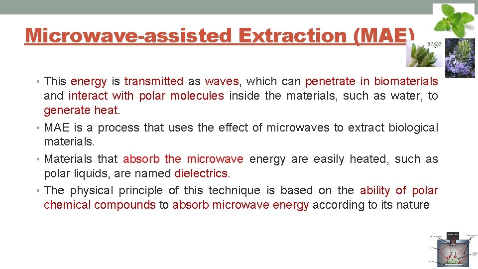 Microwave-assisted Extraction (MAE) • This energy is transmitted as waves, which can penetrate in