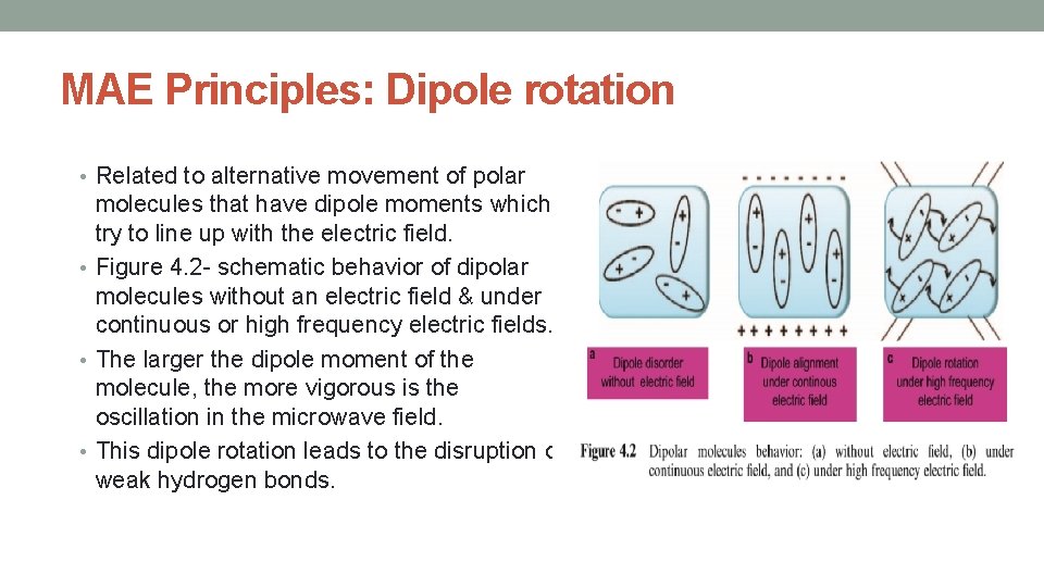 MAE Principles: Dipole rotation • Related to alternative movement of polar molecules that have