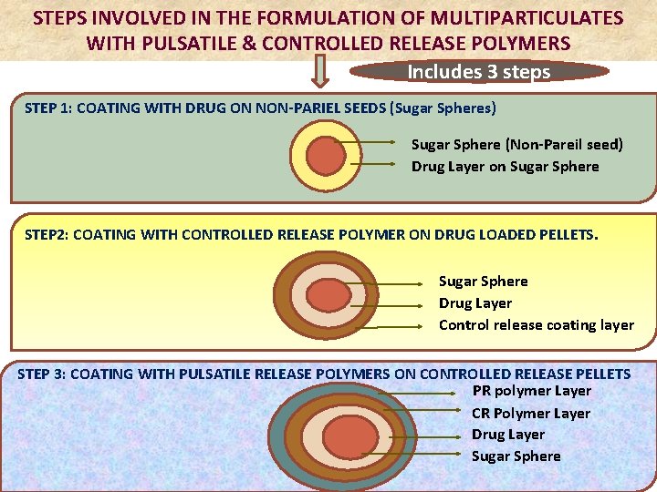 STEPS INVOLVED IN THE FORMULATION OF MULTIPARTICULATES WITH PULSATILE & CONTROLLED RELEASE POLYMERS Includes STEPS INVOLVED IN THE FORMULATION OF MULTIPARTICULATES WITH PULSATILE & CONTROLLED RELEASE POLYMERS Includes