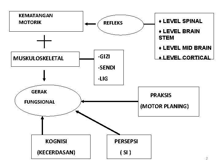 KEMATANGAN MOTORIK REFLEKS ♦ LEVEL SPINAL ♦ LEVEL BRAIN STEM ♦ LEVEL MID BRAIN KEMATANGAN MOTORIK REFLEKS ♦ LEVEL SPINAL ♦ LEVEL BRAIN STEM ♦ LEVEL MID BRAIN