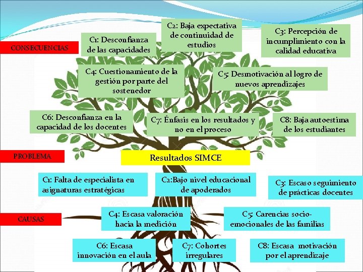 C 2: Baja expectativa de continuidad de estudios C 1: Desconfianza de las capacidades