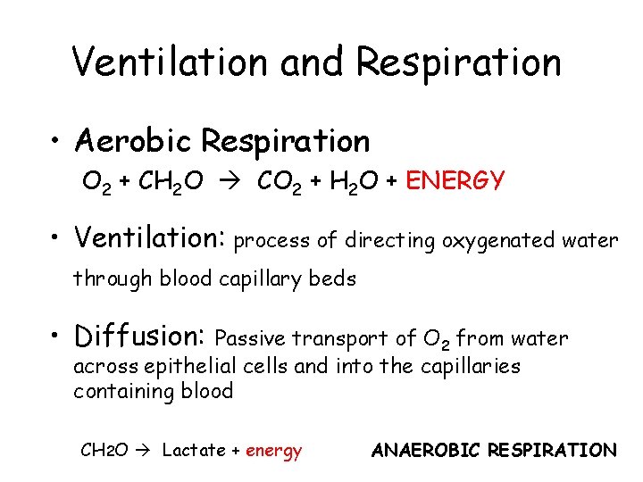 Ventilation and Respiration • Aerobic Respiration O 2 + CH 2 O CO 2 Ventilation and Respiration • Aerobic Respiration O 2 + CH 2 O CO 2