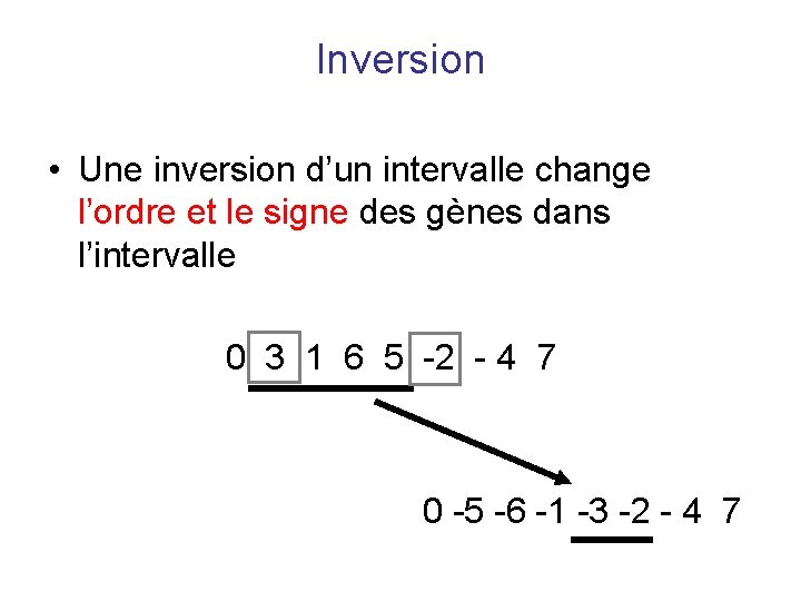 Inversion • Une inversion d’un intervalle change l’ordre et le signe des gènes dans