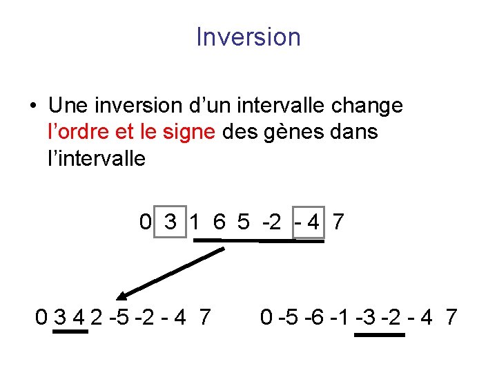 Inversion • Une inversion d’un intervalle change l’ordre et le signe des gènes dans Inversion • Une inversion d’un intervalle change l’ordre et le signe des gènes dans