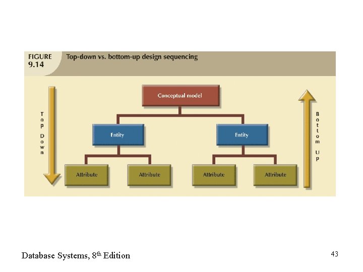 Database Systems, 8 th Edition 43 