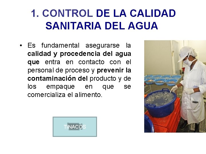 1. CONTROL DE LA CALIDAD SANITARIA DEL AGUA • Es fundamental asegurarse la calidad